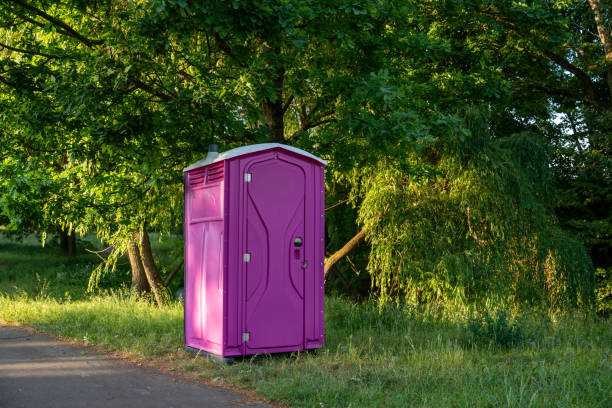 Best Handicap porta potty rental  in Skyline, AL